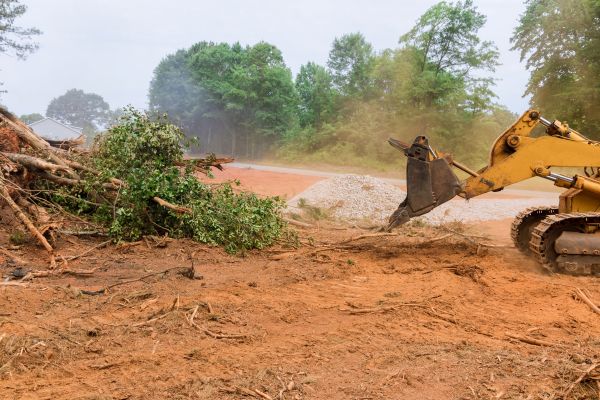 Ground Clearing in Lake Stevens