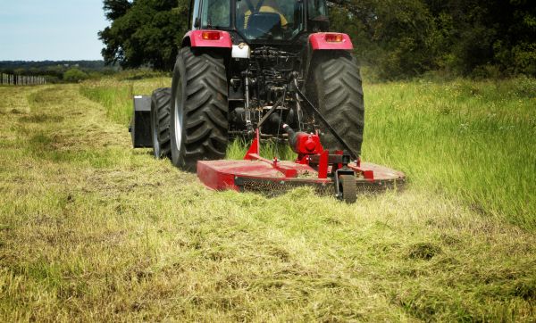 Brush Clearing Service in Lake Stevens