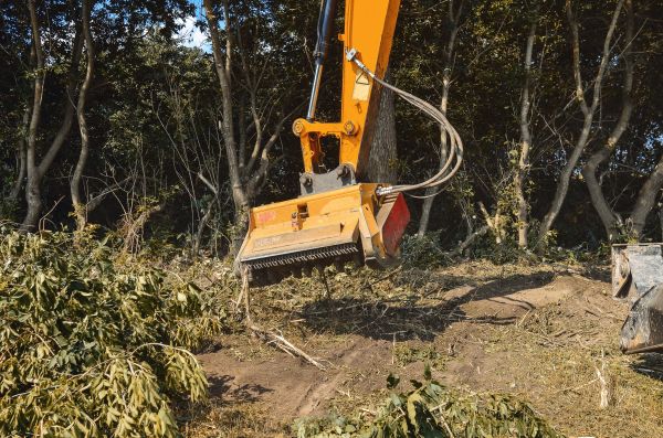 Brush Removal Service in Lake Stevens