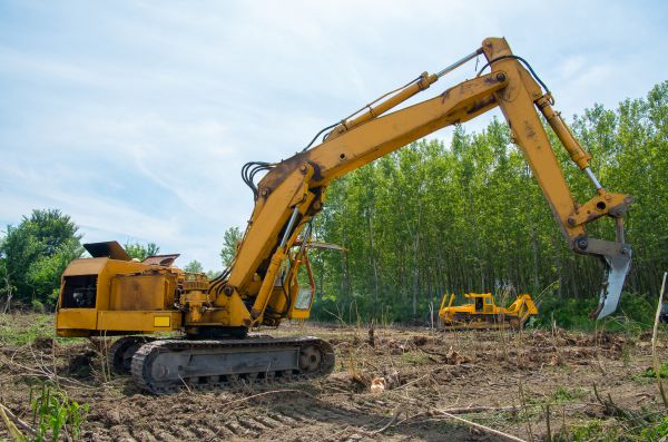 Farm Clearing in Lake Stevens