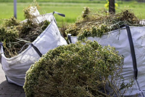 Cost of Bushes Clearing in Lake Stevens