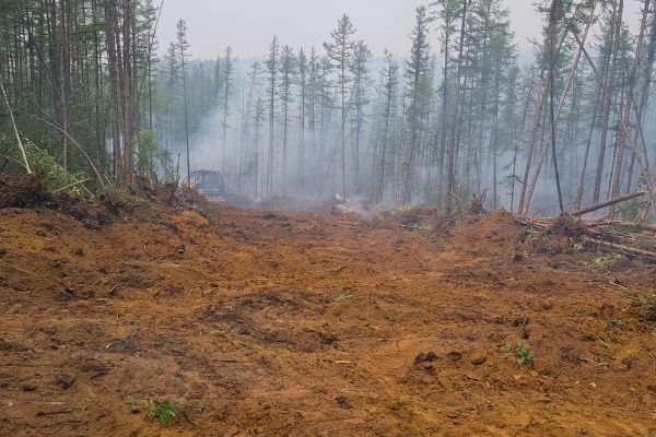 Hill Clearing in Lake Stevens