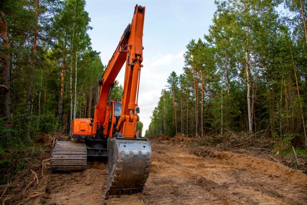 Backhoe Land Clearing in Lake Stevens