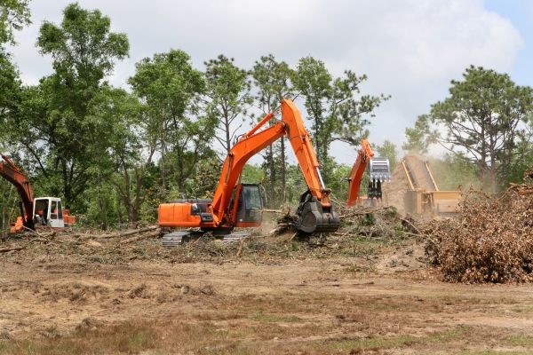 Commercial Lot Clearing in Lake Stevens